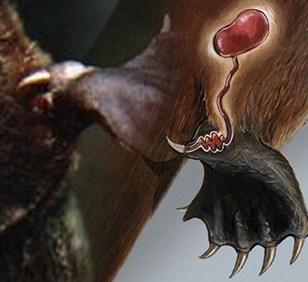 tutebucket_platypus_bill